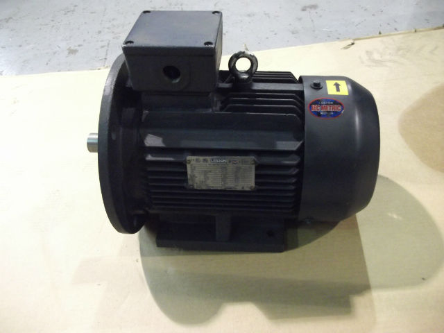 Leeson IEC Metric Motor