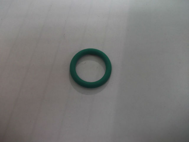 Ott-Jakob O-Ring