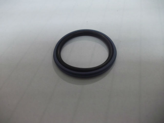 Ott-Jakob Seal
